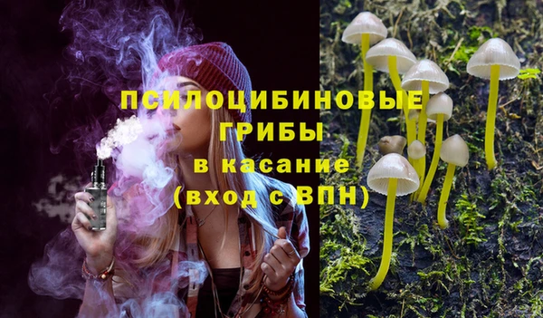 бутират Медногорск