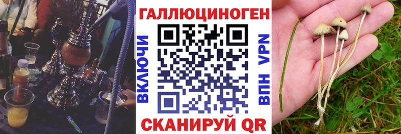 Псилоцибиновые грибы Psilocybine cubensis  Купить где  Нея 